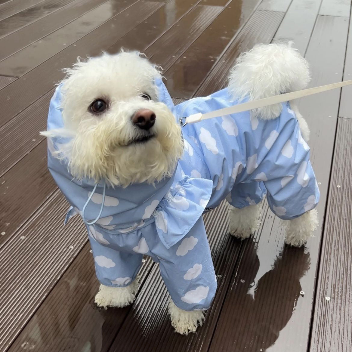 Heart/Cloud Printed Dog Cat Raincoat