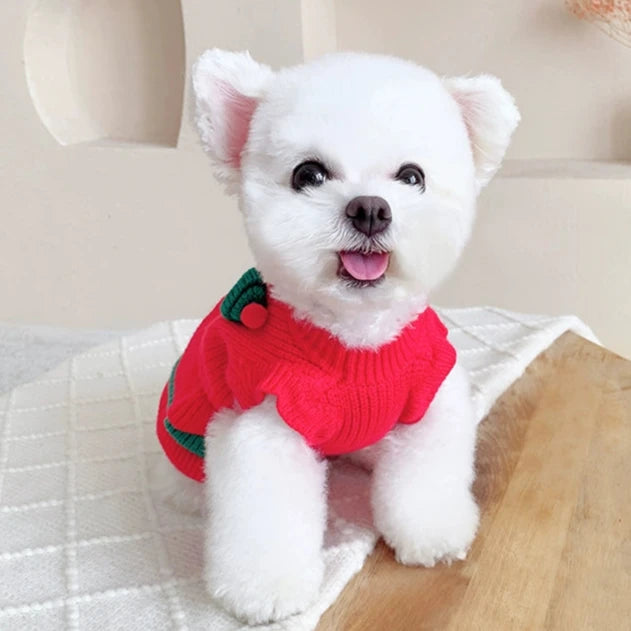 Christmas Knitted Dog Cat Layered Dress