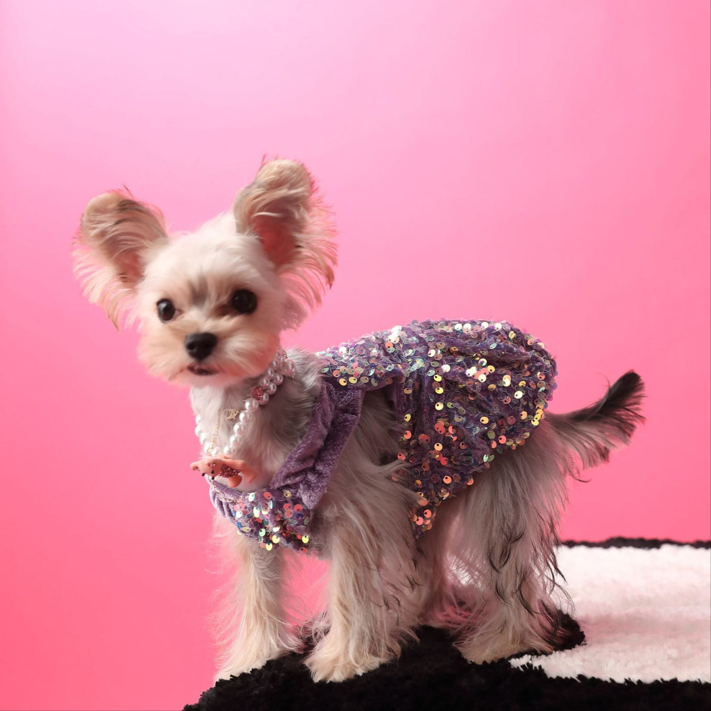 Sequined Velvet Sweet Dog Cat Dress