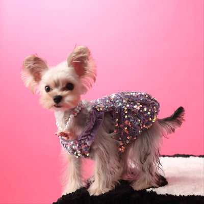 Sequined Velvet Sweet Dog Cat Dress