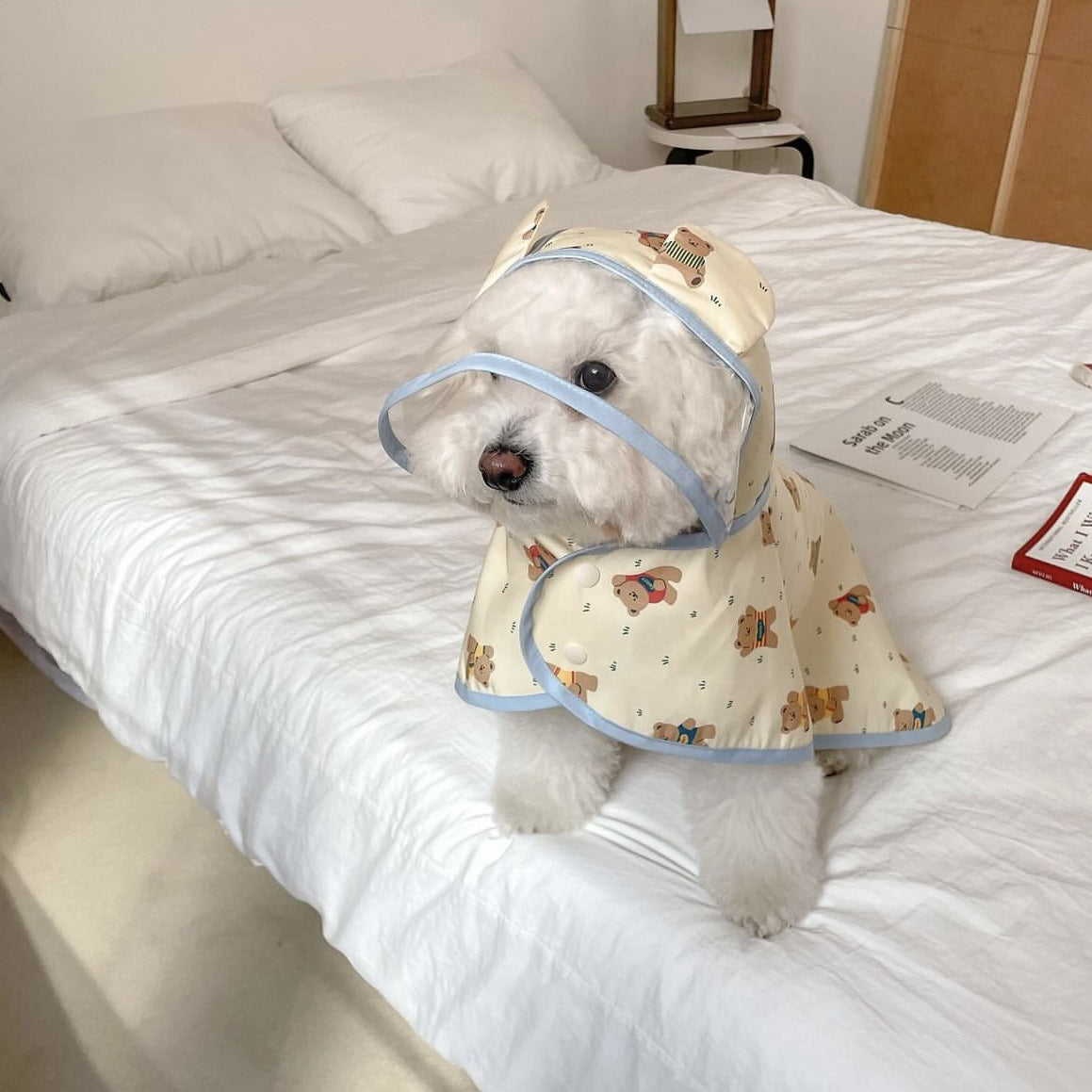 Sweet Bear Printed Dog Raincoat