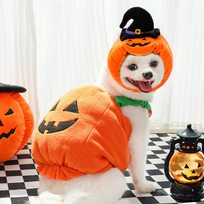 Halloween Pumpkin Fleece Dog Cat Vest/Hat