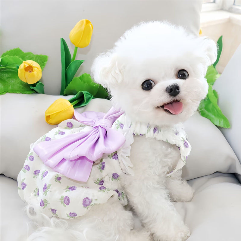 Bowknot Lace Collar Dog Harness Dress