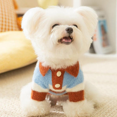 Striped Color Block Dog Cat Polo Sweater