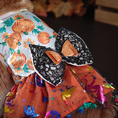 Halloween Pumpkin Bow Dog Cat Lace Dress | Softosy Pet Boutique