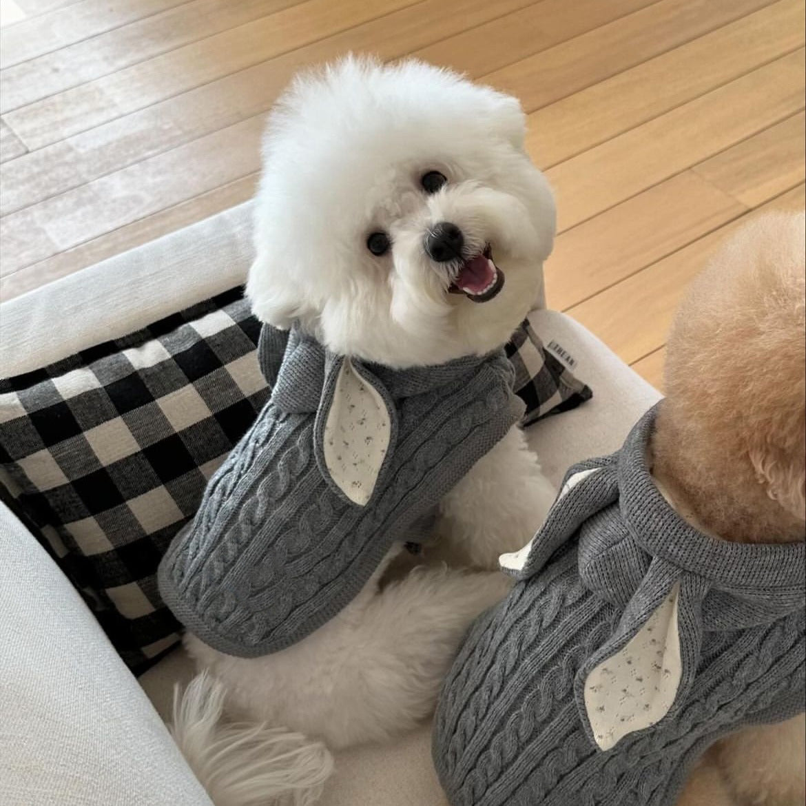 Maglione caldo lavorato a maglia a forma di orecchie di coniglio per cani e gatti 