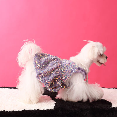 Sequined Velvet Sweet Dog Cat Dress