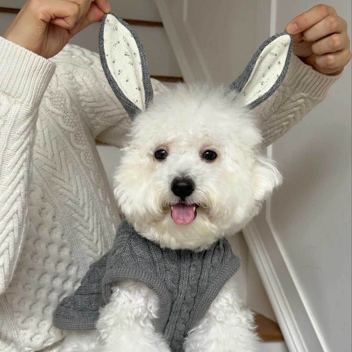 Maglione caldo lavorato a maglia a forma di orecchie di coniglio per cani e gatti 