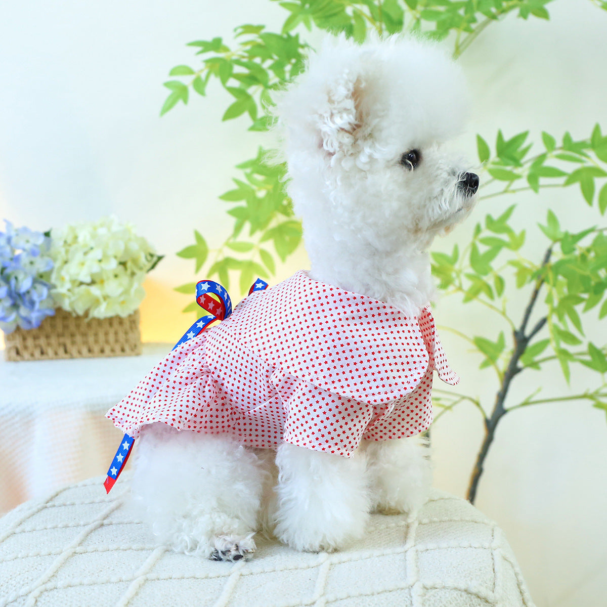 Star Printed Bow Dog Cat Dress