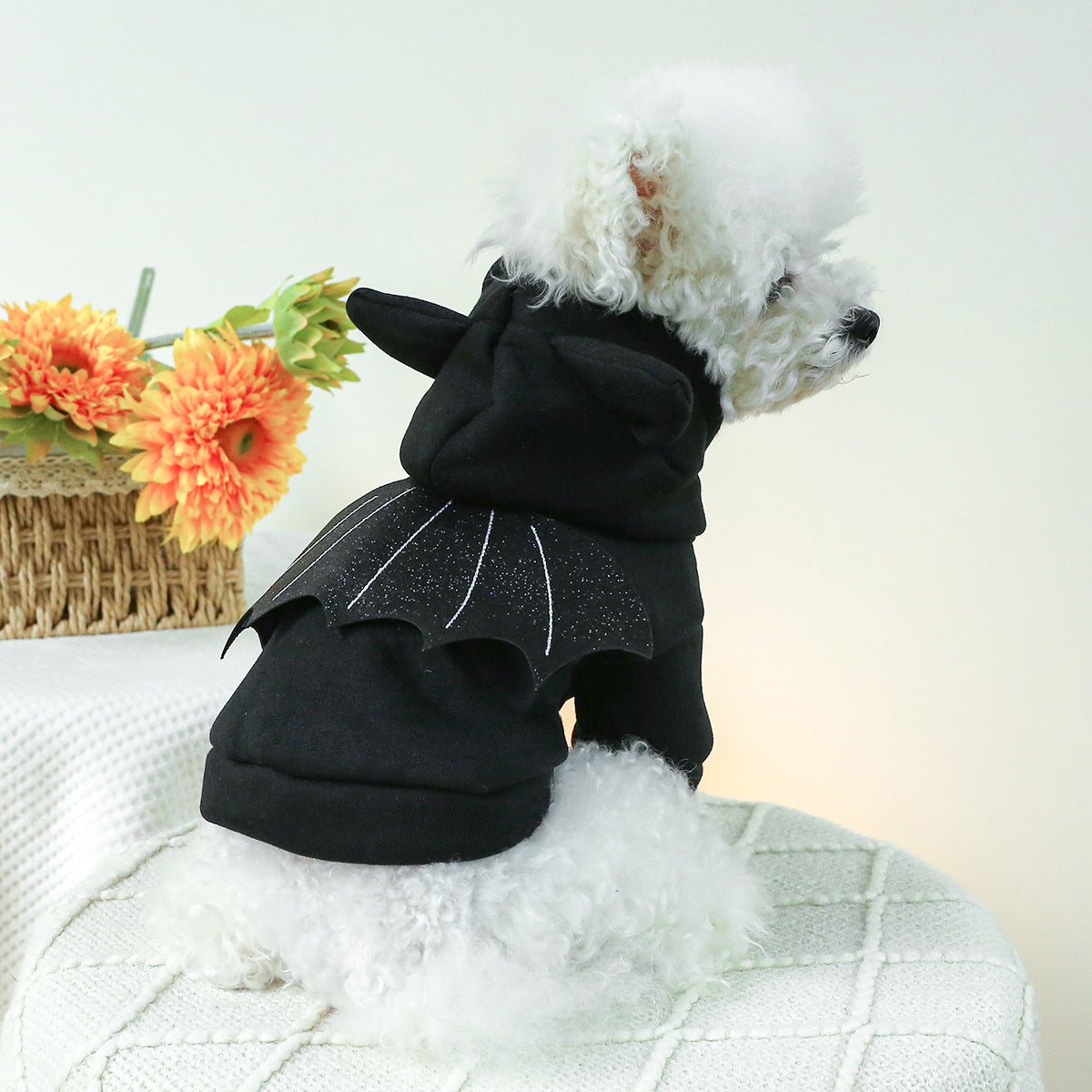 Halloween Bat Decor Dog Cat Hoodie