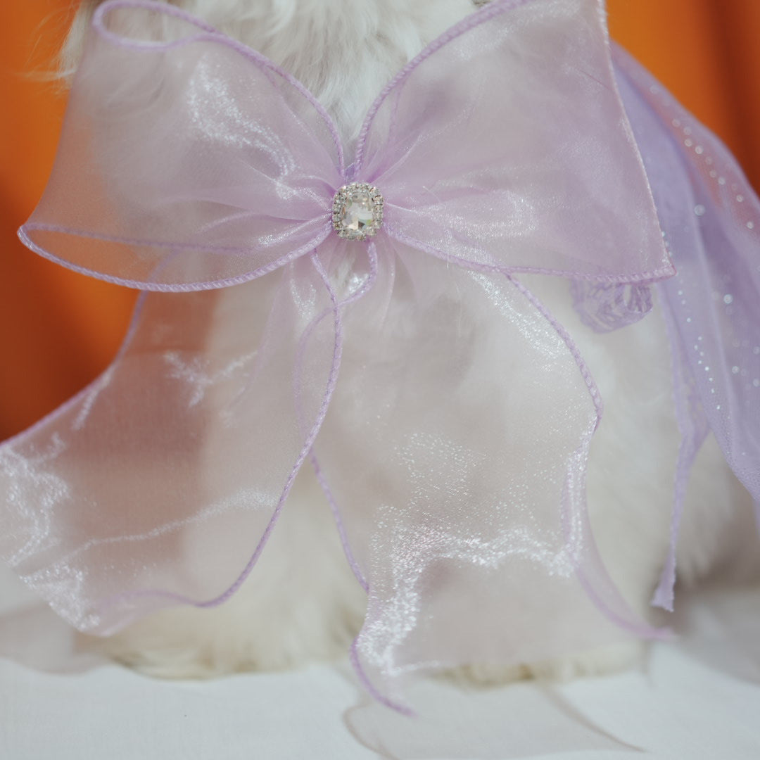 Party Lace Dog Cat Necklace&Hat Set