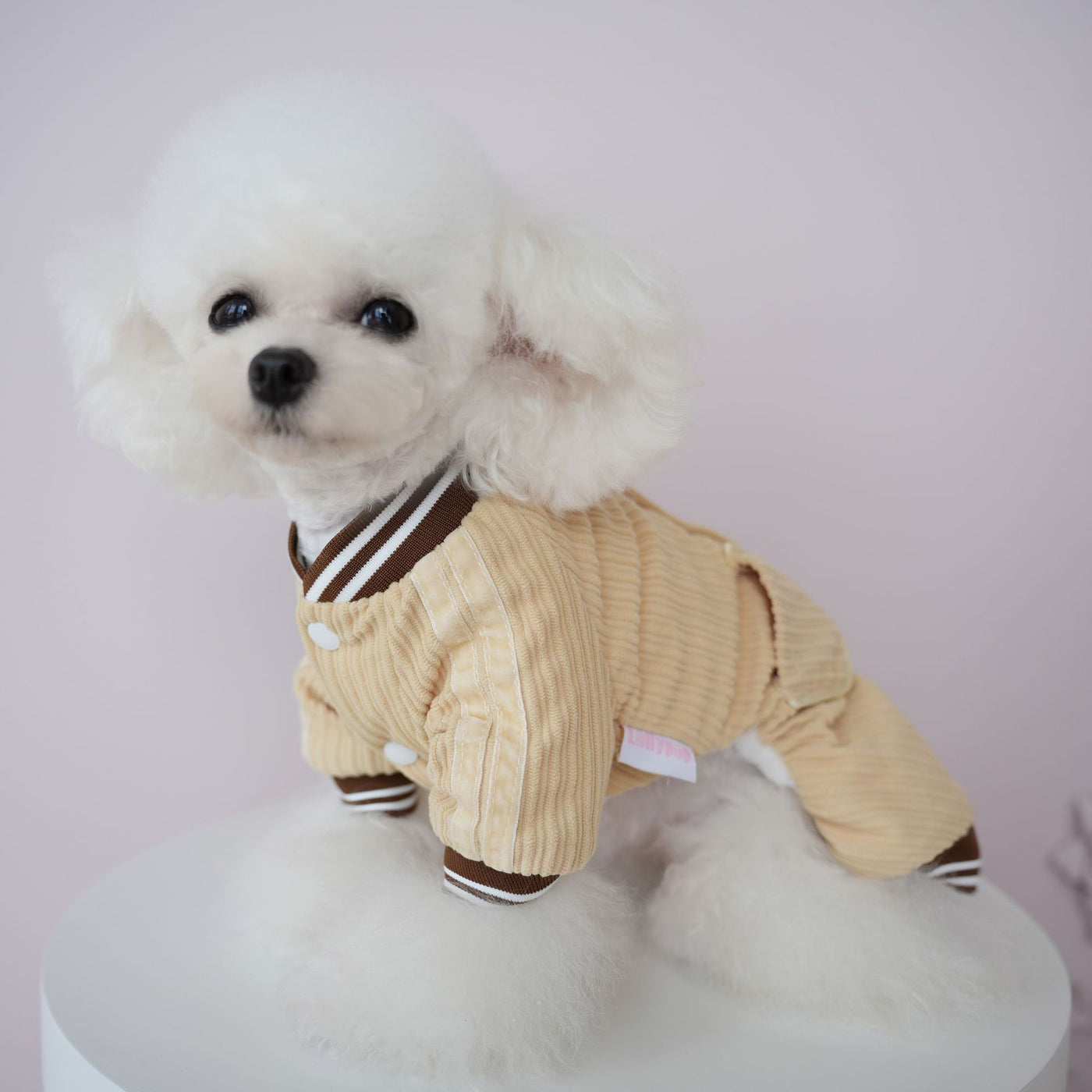 Sports Style Striped Dog Jumpsuits Harness