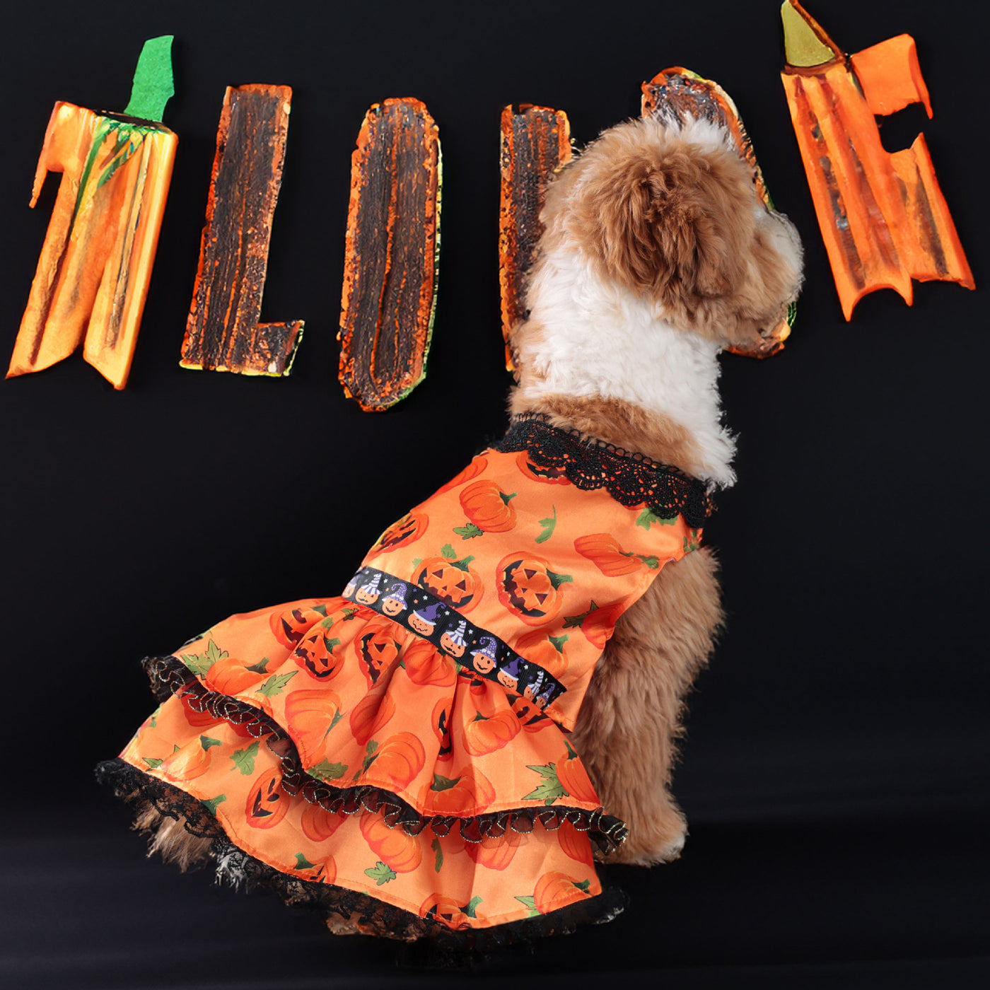 Sweet Lace Halloween Pumpkin Dog Cat Dress | Softosy Pet Boutique