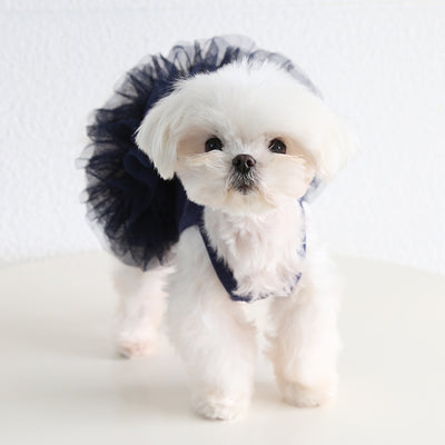 Cotton Solid Color Dog Cat Lace Dress