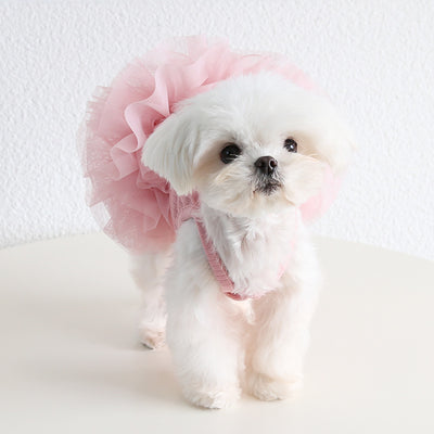 Cotton Solid Color Dog Cat Lace Dress