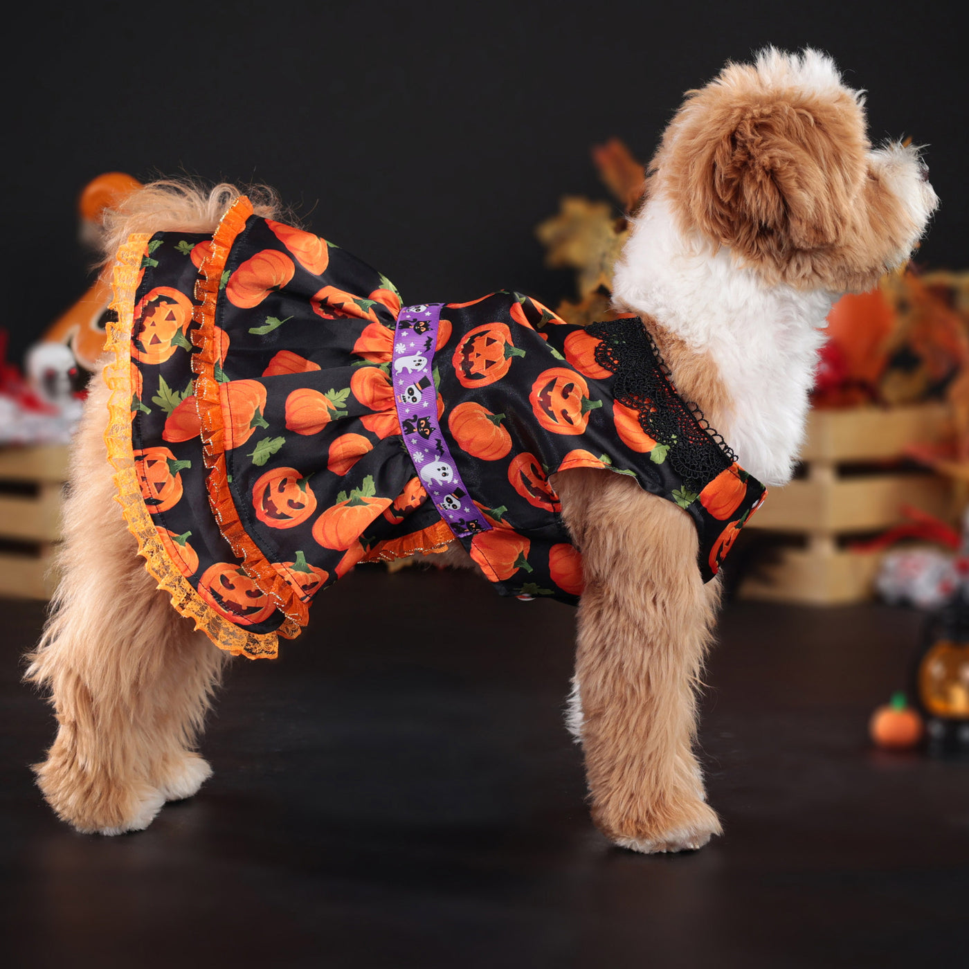 Sweet Lace Halloween Pumpkin Dog Cat Dress | Softosy Pet Boutique