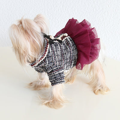 Luxury Designer Fleece Dog Cat Lace Dress