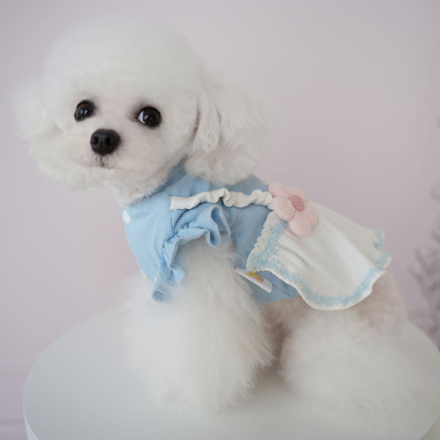 Sweet Knitted Flower Dog Cat Dress Harness