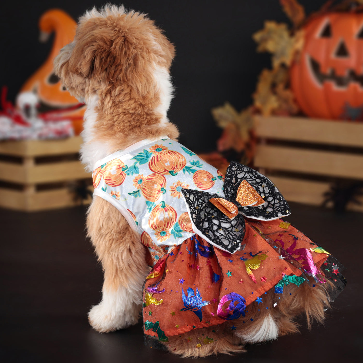 Halloween Pumpkin Bow Dog Cat Lace Dress | Softosy Pet Boutique