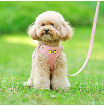 Bow Printed Soft Dog Harness&Leash