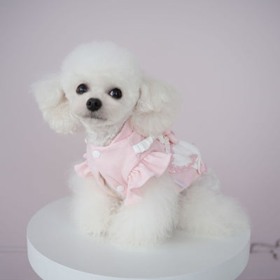 Sweet Knitted Flower Dog Cat Dress Harness