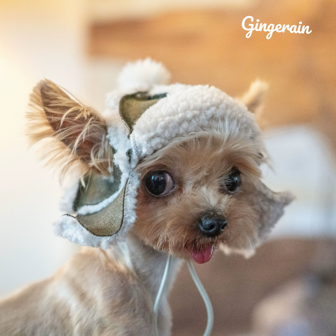 Casual Fleece Furry Dog Cat Hat