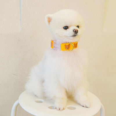 Little Bear Printed Dog Collar&Leash Set