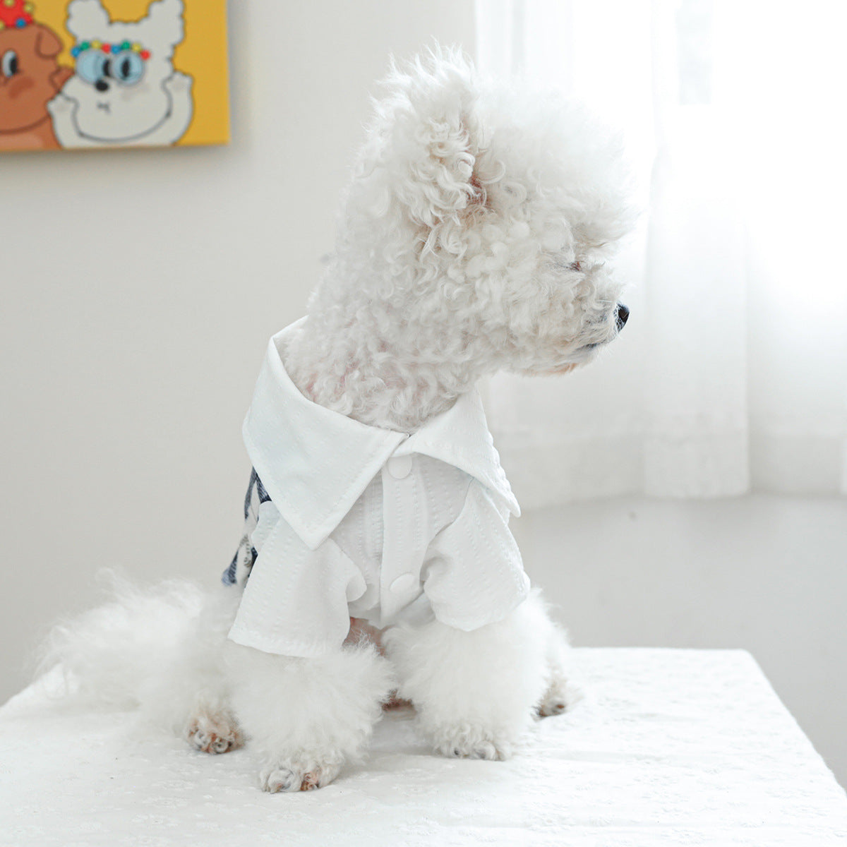 Bow Buttoned Dog Cat Harness Formal Shirt