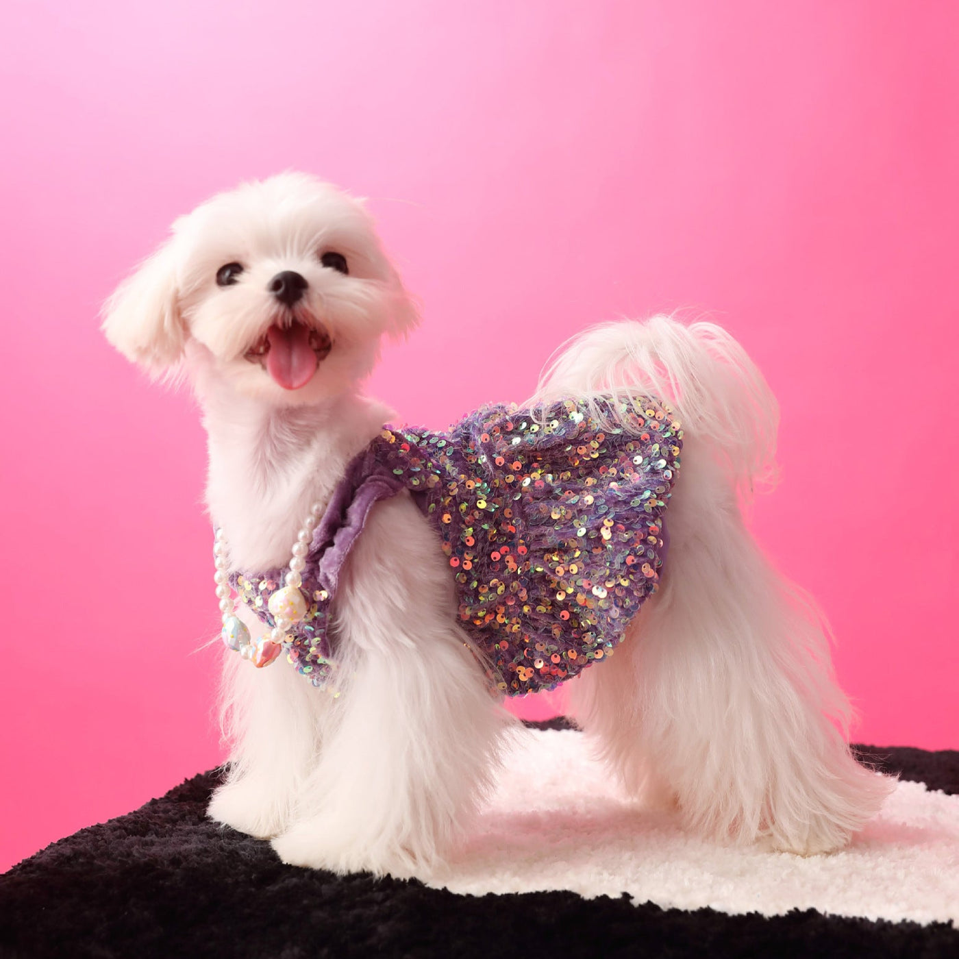 Sequined Velvet Sweet Dog Cat Dress