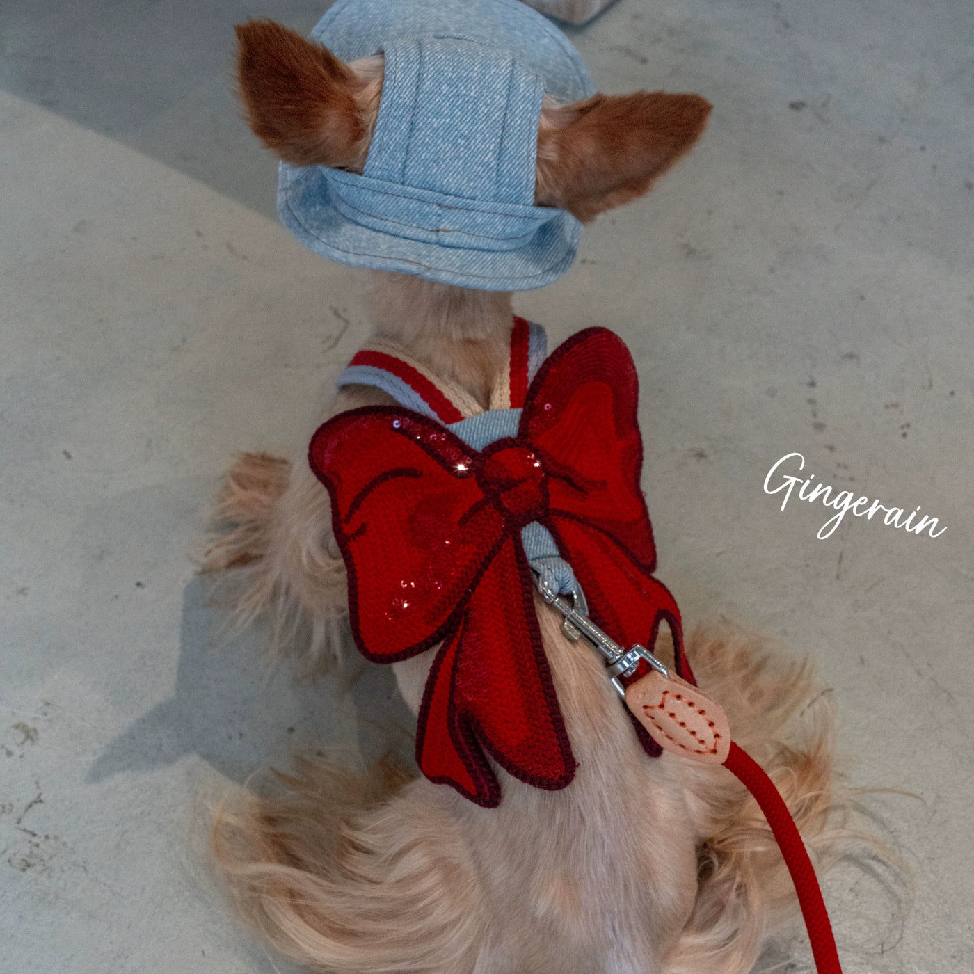 Denim Sweet Bow Dog Harness Leash/Hat