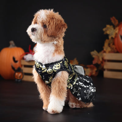 Halloween Pumpkin Bow Dog Cat Lace Dress