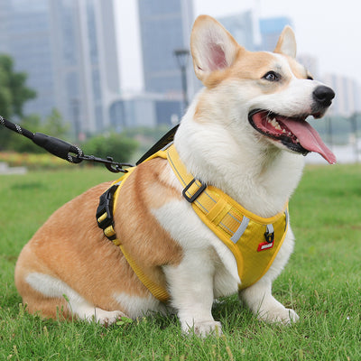Reflective Breathable Dog Harness For Medium Large Dog