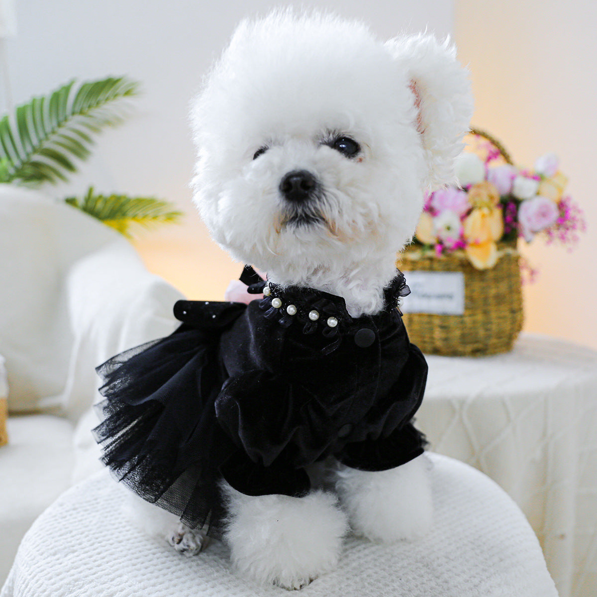 Rose Decor Dog Cat Wedding Dress