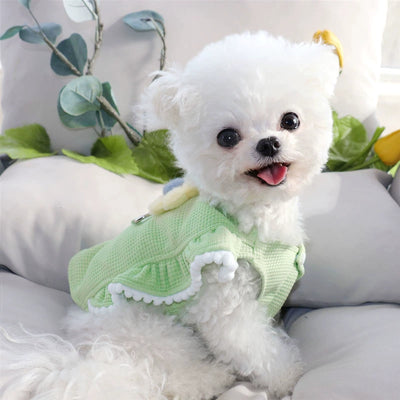 Sweet Flower Decor Dog Harness Vest