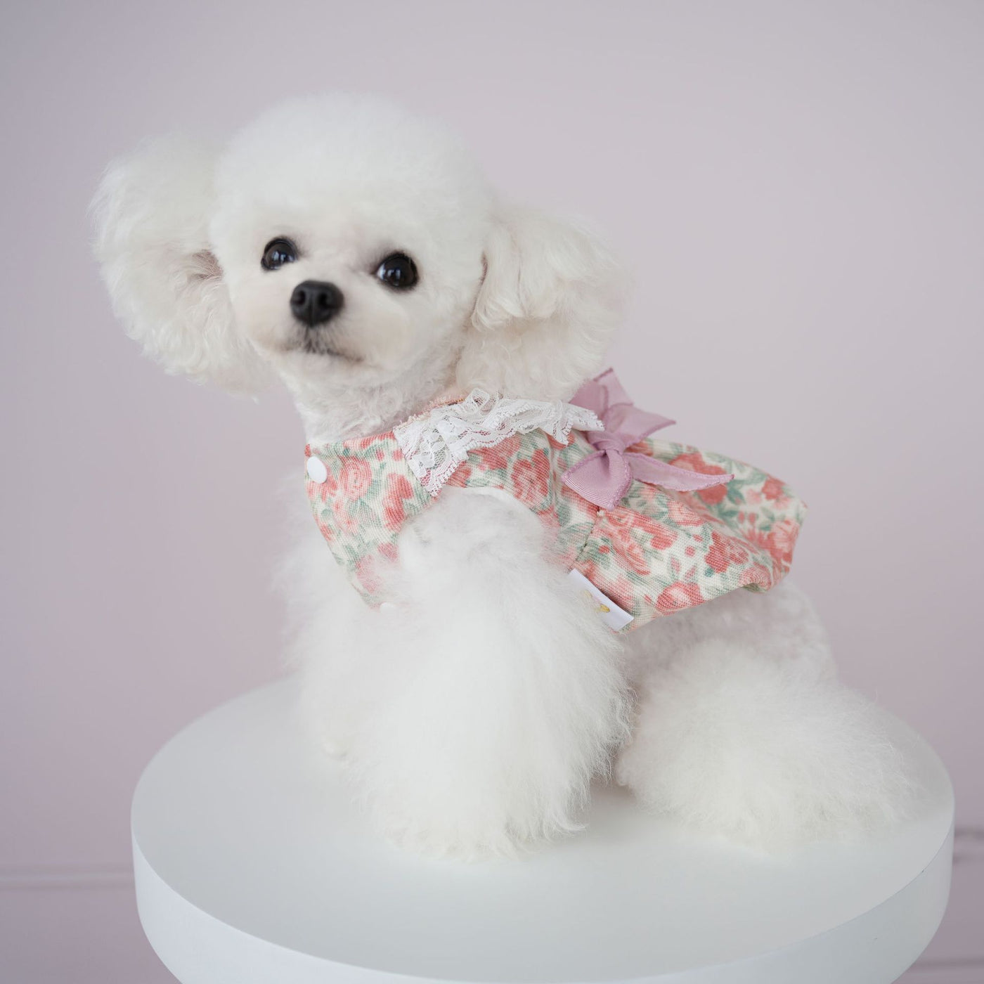 Floral Lace Layered Dog Cat Harness Dress/Jacket