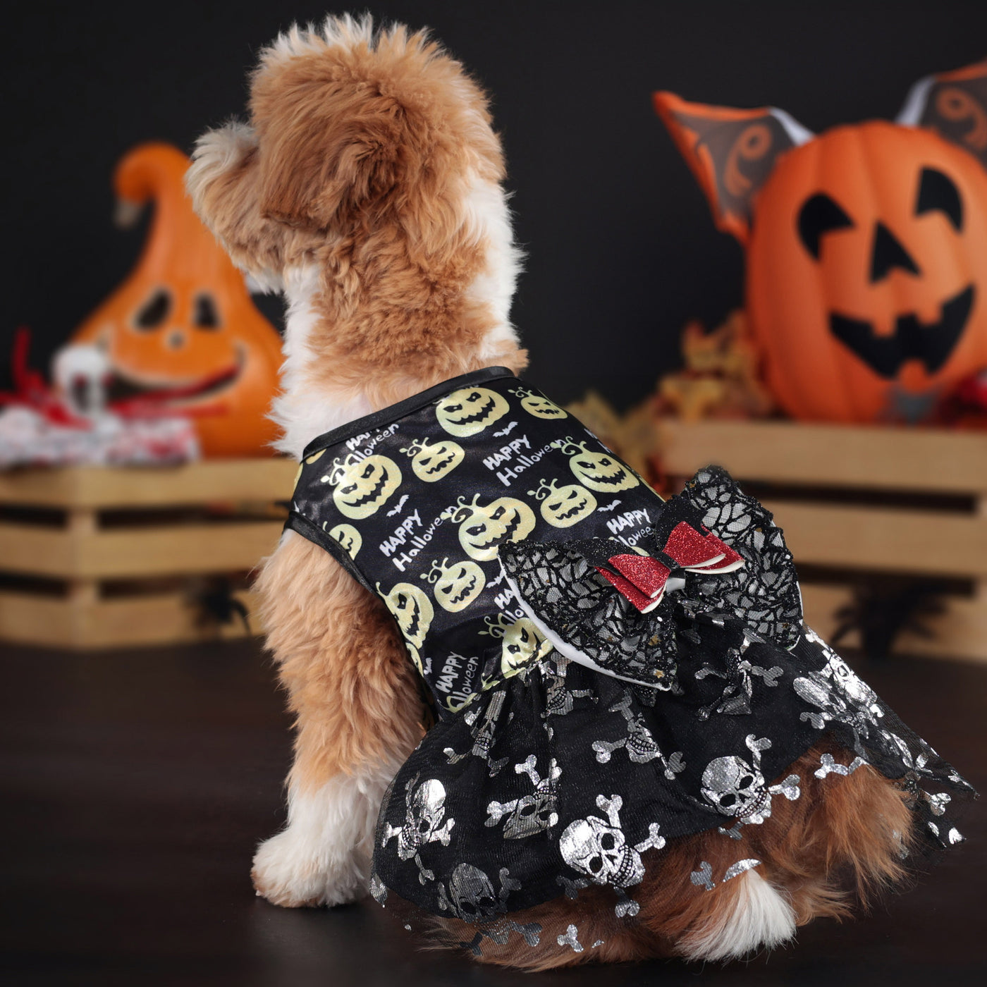 Halloween Pumpkin Bow Dog Cat Lace Dress | Softosy Pet Boutique