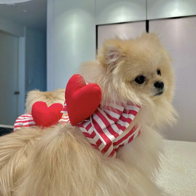 Striped Heart Decor Dog Harness&Leash Set