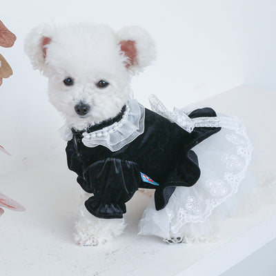 Velvet Lace Bowknot Dog Cat Dress