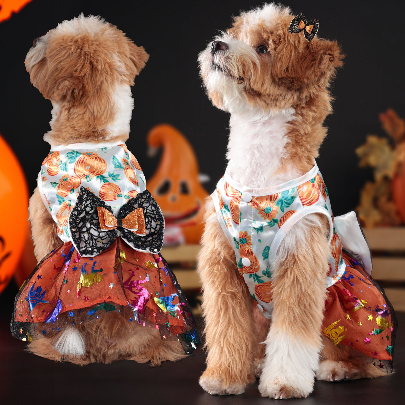 Halloween Pumpkin Bow Dog Cat Lace Dress | Softosy Pet Boutique