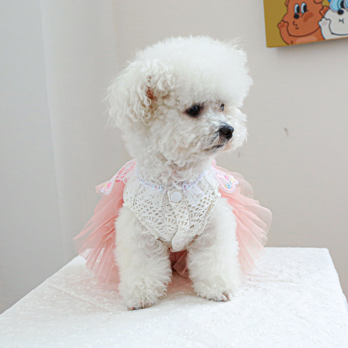 Colorful Butterfly Layered Dog Cat Lace Dress