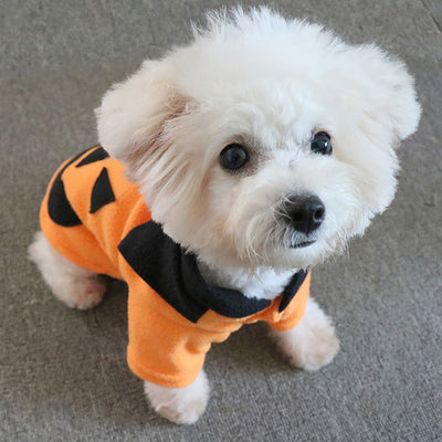 Halloween Pumpkin Pattern Dog Cat Coat