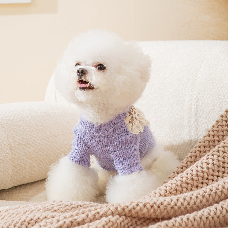 Daisy Printed Lace Bowknot Dog Cat Sweater