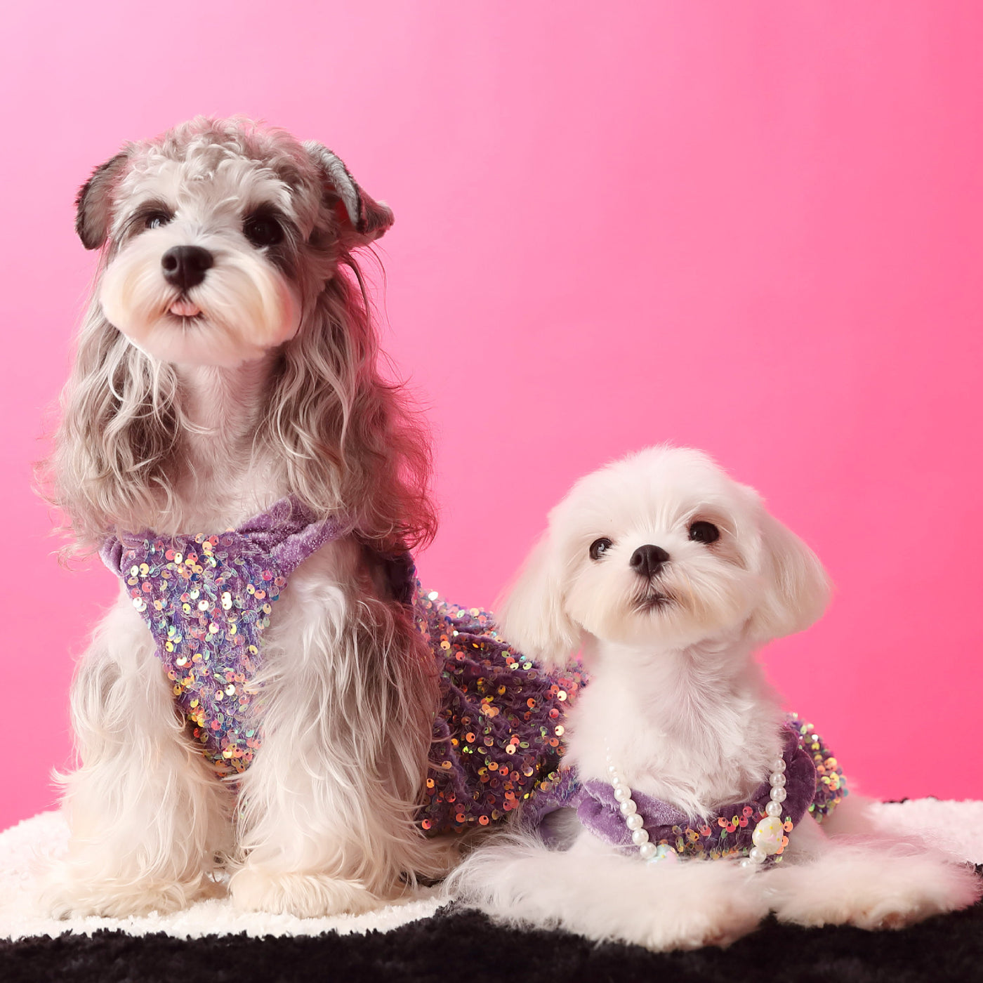 Sequined Velvet Sweet Dog Cat Dress