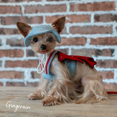 Denim Sweet Bow Dog Harness Leash/Hat