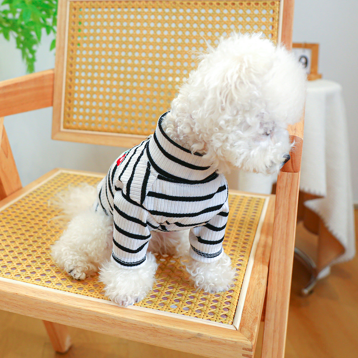 Lucky Flower Striped Dog Cat Tee Harness