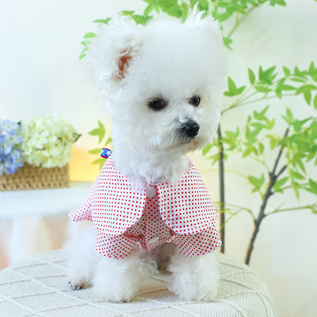 Star Printed Bow Dog Cat Dress