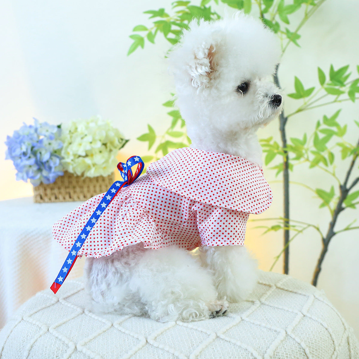 Star Printed Bow Dog Cat Dress