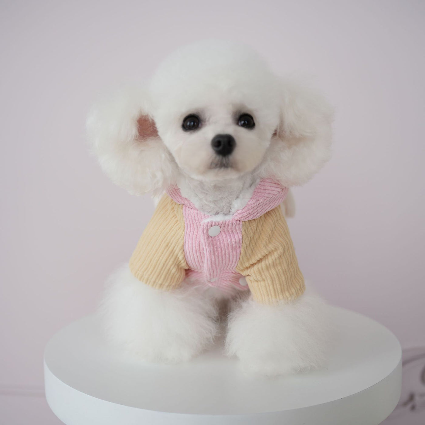 Fleece Rabbit Ear Bow Dog Cat Hooded Jacket