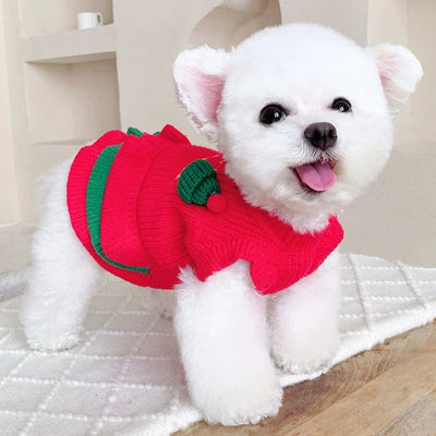 Christmas Knitted Dog Cat Layered Dress