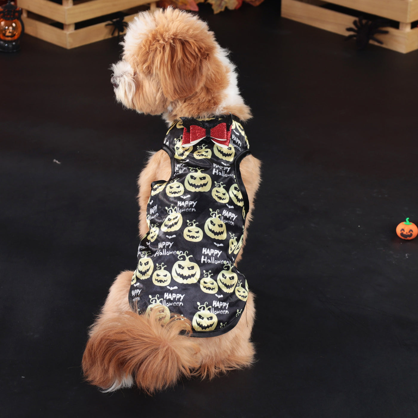 Halloween Pumpkin Printed Bow Dog Cat Vest | Softosy Pet Boutique